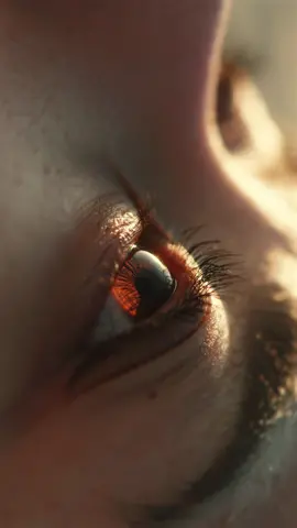 One summers day ☀️ Hope this video was able to calm you down even for a brief moment 💆‍♂️ 💆‍♀️  Check out my YouTube if you want to learn how I shoot and my export settings! Shot in slog 3 & color graded with my custom LUTs , link in bio 🎨 Happy Friday everyone 🥷🙏 #fyp #cinematics #cinematography #viralvideo 