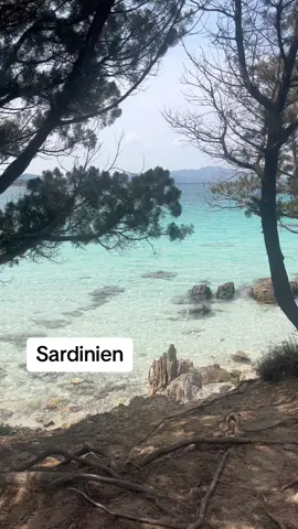 So schön Sardinien. #fyp #fypシ #view #sardegna #sardinien 