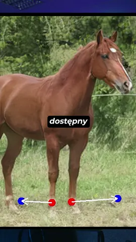 Modyfikacja na całego. Zmiana pozy, otwarcie ust? Spoko. Da się zrobić. #ai #sztucznainteligencja #technologia #ciekawostki #photoshop #app #dragGAN #adriankilar #mówikamera