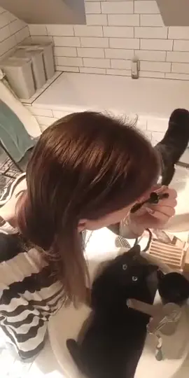 poranna toaleta z kotami 😅 dzień jak codzień #makeup #catsoftiktok #cats #catsvideo 