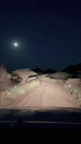 لا بغيت اسري #تيك_توك #اكسبلور #xplore 