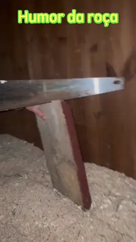 Humor da roça com o chapococo   #humor #tiktok #cavalo 