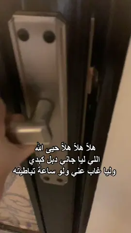 🩷  #CapCut #explor #cat #meow 