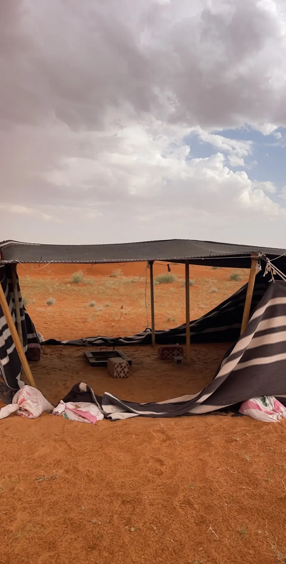 والله ان كبدي عليكم عراويها ضمي #شعر #كشتات #قطبة 