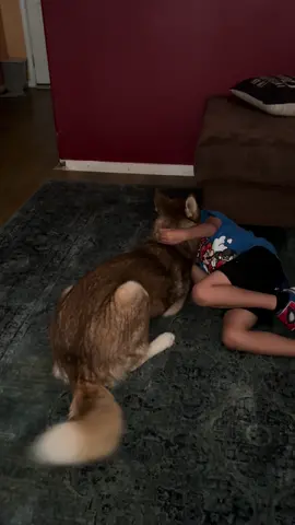 I dont know whether to think this is precious…or disturbing. #dogloveskids #dogsandkids #kissing #puppykisses #fyp 