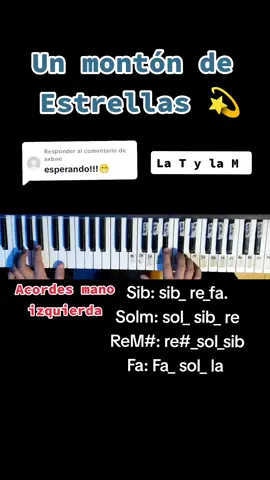 Respuesta a @axbne Un montón de Estrellas #unmomtondeestrellas #unmontondeestrellas🌠🎶💜 #latylam💕💕💪🎵🎶🎹 #latylam🇦🇷❤️🎶 #tecladomusical #coverargentina🇦🇷 #punteosdecumbia #Cumbia #musica #aprendepianoentiktok #aprendepiano 