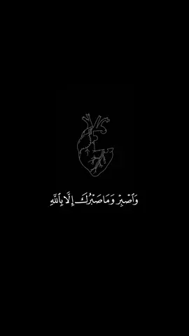 #foryou #تلاوة #قران #أسلام_صبحي #قران راحة نفسية🕊💛 #حركة_الاكسبلور #foryoupage #palestine🇵🇸 #شاشة_سوداء #تصميمي #follow #music #fyp 