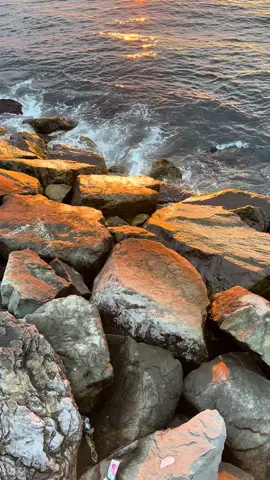 من تصويري#من_تصميمي #اكيسبلوررررررررررررررررررر💥💥💥💥💥🇸🇦🤍 #تصميم_فيديوهات🎶🎤🎬 #الشعب_الصيني_ماله_حل😂😂 #اكسبلورexplore #من_تصميمي #ترند #مساء_الخير #صباح_الخير #موسيقى_حزينه #اكيسبلوررررررررررررررررررر #بحر #trending #من_تصميمي_🦋♥️ #الشعب_الصيني_ماله_حل😂😂 #belki_akustik_dedublüman #ترند_تيك_توك #ترند_جديد #اكسبلورexplore #trending 