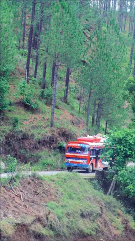 बसले लायो सिटी सल्यानको ढोरचौरमा 😀#khakendra_kc #lekali_online #salyani_muser #tiktoknepal 