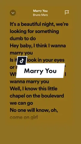 Marry You!#leohernandezlyrics_ #marryyou #brunomars #foryou #marryyoubrunomars #fypage #songlyrics #musiclyrics #music #fyp #fypシ #trendingsong #tiktok #tiktokph #trend #viral #aesthetic 