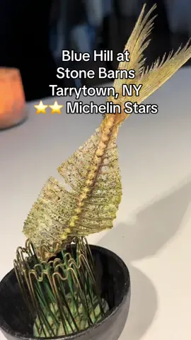 Butterfish Bones - Blue Hill at Stone Barnes in Tarrytown, NY ⭐️⭐️ Michelin Stars #tiktokfood #asmreating #highspeeddining #docueatery #bluehillatstonebarns 
