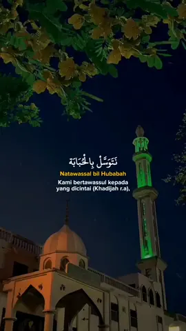 Aamiin 🤲🏻#natawassalbilhubabah #fyp 