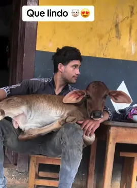 #ganaderia🐂🐎#encasita 