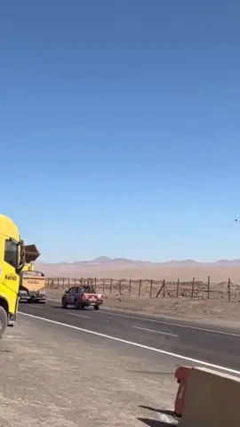 #mobilterbesardidunia #truck #truk #truktambang #dumptruck #driving #drivingtest #drivingtips #fyp #fypシ #fypシ゚viral #foryoupage #masukberandafyp #masukfyp #pelitfyp #tiktokpelitfyp 