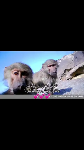 منشنوا البيست #بيست_فريند #bestfriend #fypシ゚viral #رياكشنااااات #ex #haj2023🤲🤲🕋🕋 #haj2023🤲🤲🕋🕋 #السعودية #explor 