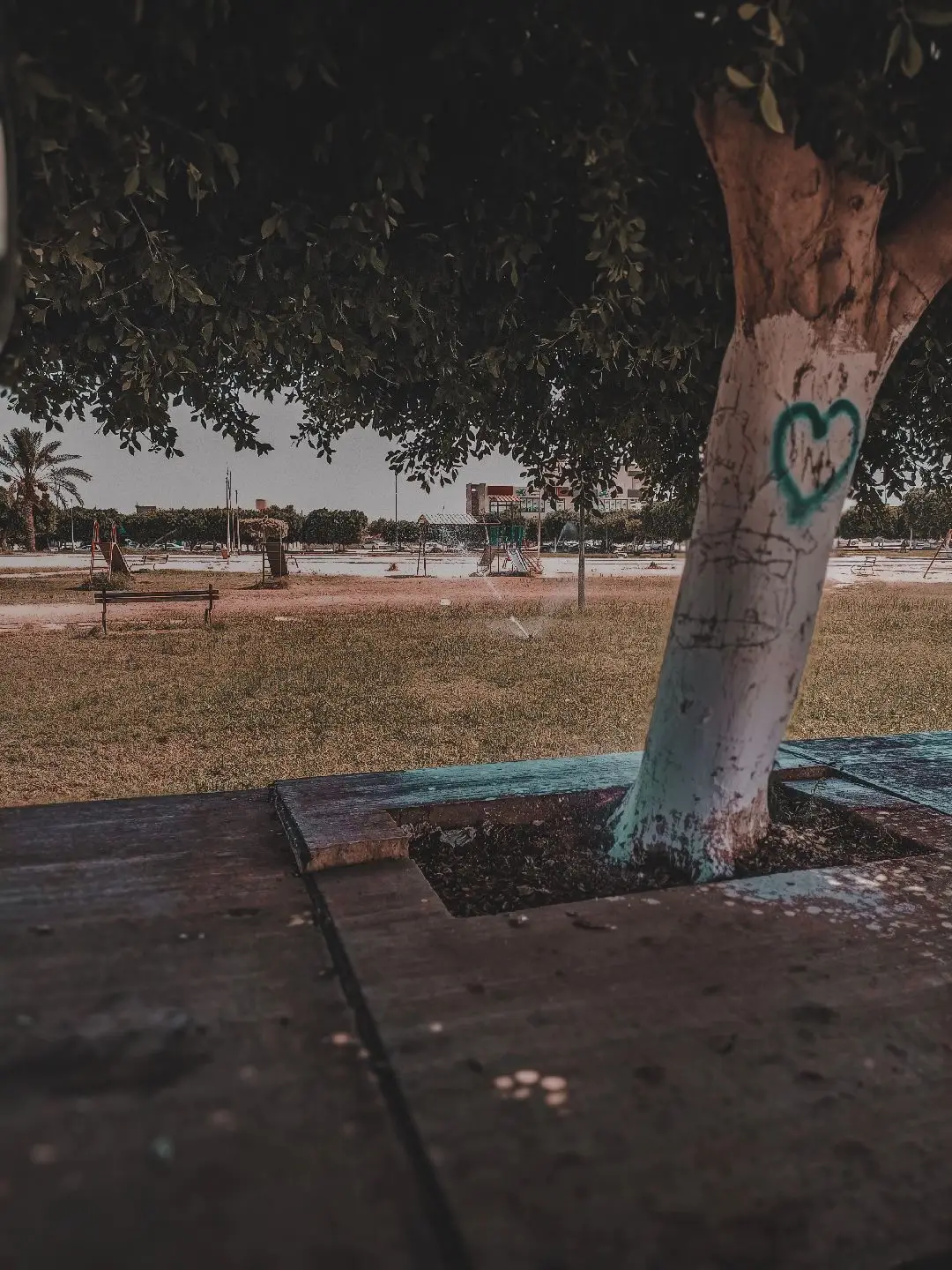 رأيكم ف التصوير 🔥🤍؟ #سرت_ليبيا #سرتنا_سرت_ليبيا💚🌻 #عَــمــرُو🚸🎶 #تصويري #تصويري_احترافي #لايت_روم #foryoupage #foryou #viral #اكسبلورexplore #fyp #fypシ 