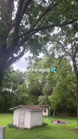 #tiempodelluvias💦 #tiempodeaguas #🤦‍♀️adormir 😛 