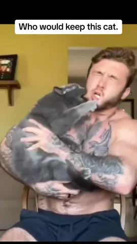 Would you keep this cat. #cat #funnycat #funnycats #cats #catsoftiktok #kitten #catmeme #funny ##angrycat Credit: garett_ _nolan