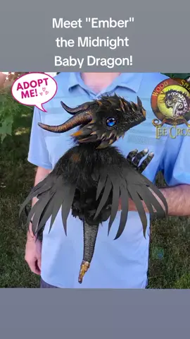 5 Day Auction Adoption only on my Website at woodsplitterleecross.com Fully poseable, weighted, 100% handmade, the only one in the world, enjoy! #dragon #dragons #babydragon #dragondoll #dragonart #dragonplush #doll #collection #collect 