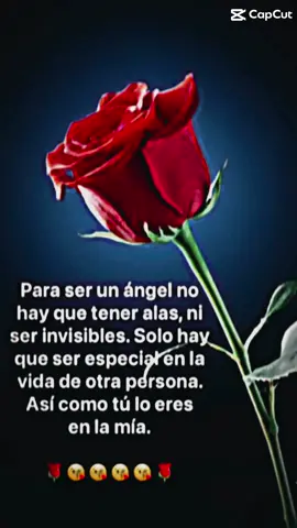 #CapCutVelocity #สปีดสโลว์ #music #musica #temerarios #eresunangel 