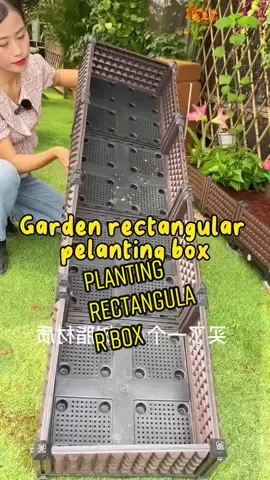 Garden rectangular planting box #besar  dalam #blh tanam berbagai jenis sayuran tomato cili  #menanam itu memberi keseronokan # makan sayur tanam sendiri segar organic #