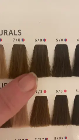 Colour Refresh 🖤🤎🖤 Wella Color Touch  #brunette #hairtok #hairstyle #hairvideos 