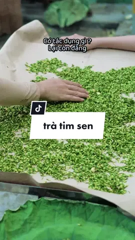 Vị trà tâm sen cho giấc ngủ cải thiện hơn tốt lắm à nha #dacsanvietnam #ocop #ancungtiktok 