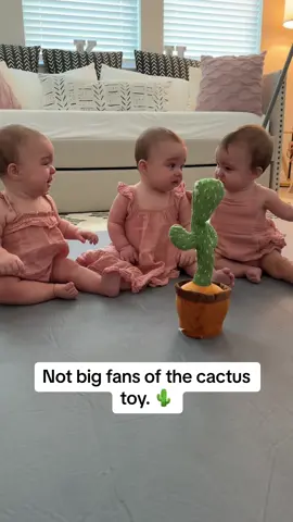 Now i have three crying babies and a crying cactus! #cactustoy #talkingcactus🌵 #tripletsoftiktok 