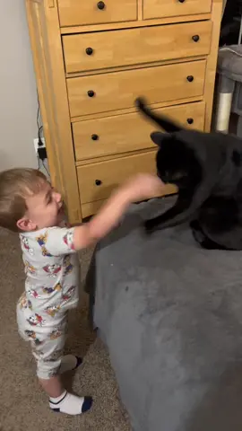 Boxing match 👦🏼🥊🐈‍⬛ #fyp #catmom #boymom #funnyanimals #cutebaby 