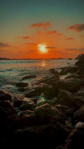 النور مكانه في القلوب🧡 #مدحت_صالح #النورمكانهفيالقلوب❤️ #النورمكانه_فى_القلوب♥️ #اغانى #tiktoklongs #اكسبلورexplore #explore #fypシ゚viral #sea #الاسكندرية #tiktok #shooting #غروب_الشمس #غروب_الشمس_تصويري #sunset 