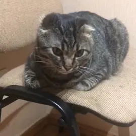 Part 2 of murkins murks :3:3 !!!11! (Sorry for not posting content, i was busy (^_^