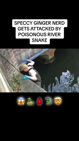 Rivers are a red flag 🚩 #snake #river #pain #ouch #fail #fyp #viral