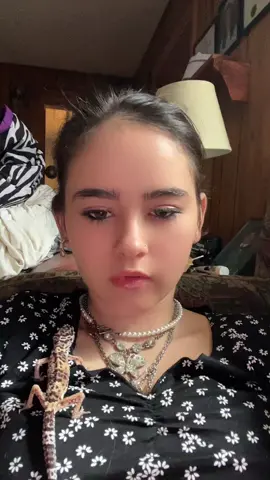 #leporedgecko #fypシ 