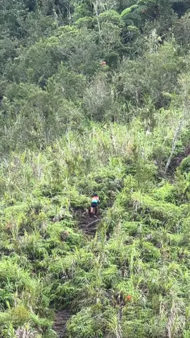 Uphill running to the view deck of #LakeHolon. #trailrunning #Hiking #nature #fyp 