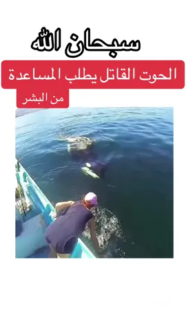 #الامارات_العربية_المتحده🇦🇪_بوظبي #الامارات_العربية_المتحده🇦🇪 #الامارات_السعوديه_قطرالكويت_البحرين_عمان #أبوظبي #الخليج_العربي_اردن_عمان_مصر_تونس_المغرب #الإمارات #بحر #الشعب_الصيني_ماله_حل😂😂 #الشعب_الصيني_ماله_حل #الخليج_العربي 