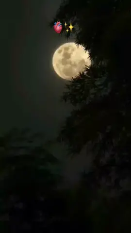 #viral #ستاتيات_شرات_ومعاني💪❤ #ستاتيات #ستاتي #ستوري #ستوريات_متنوعه 