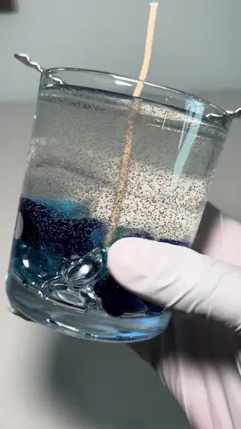 Dolphin gel candle 🐬      #gelcandles #gelcandle #dolphingelcandle #gelcandleuk 