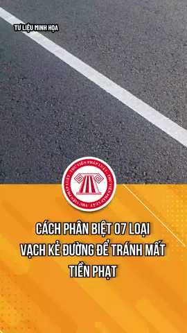 Cách phân biệt 07 loại vạch kẻ đường để tránh mất tiền phạt #TVPL  #ThuVienPhapLuat  #LearnOnTikTok  #hoccungtiktok