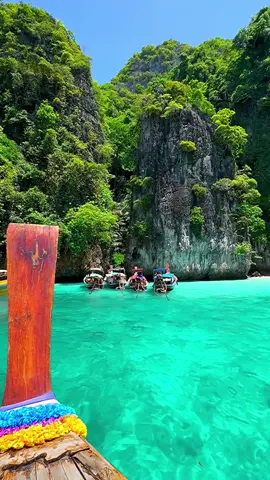Monkey beach 🐒 Phi phi island 🌴🇹🇭 #thailand #travelthailand #thailandtravel #kohphiphi #phiphiisland #monkeybeach #beachvibes #islandlife #travel #boatlife 
