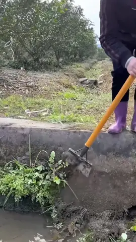 Shovelling#snow #grass #shovelling #tools #mowing #Outdoors #yard #garden #fypシ 