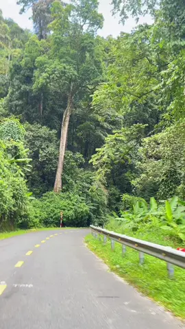 Nam Trà My cách địa bàn TP Đà Nẵng 200km chạy theo QL40B.  Men theo sườn núi trải dài từ TP Tam Kỳ lên đến huyện Nam Trà My, cảnh vật miền sơn cước khiến mình choáng ngợp khi bên trái là núi, bên phải là vực sâu hun hút. Được bao bọc hai bên bởi những dãy núi cao, những khu rừng già nguyên sinh. Xa xa là những nóc nhà của các đồng bào dân tộc Xê Đăng trên các nương rẫy, tạo ra một bức tranh núi rừng hoang sơ. - -  - - #namtramy #quangnam #tamky #rungngoclinh #beach #chill #chillvibes #photography #moment #reels #reelsinstagram #painting #art #vietnam #vietnamtravel #vietnamphotography #nature #nccchup