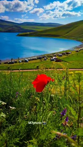 #cografya #ığdır #kendiobjektifimden  #balıklıgöl 