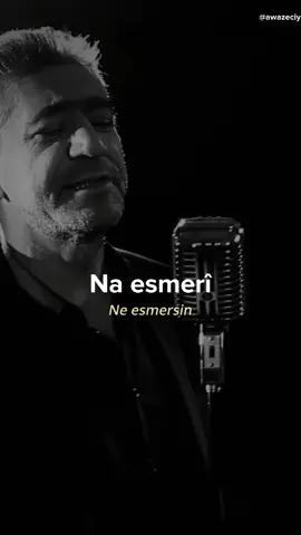 Şarkının Güzelliği 🖤 #ciwanhaco #kürtçeşarkılar #kürtçemüzik #awazeciya65 