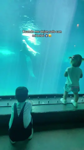 Se va caer, se cayo 😂🙆🏻‍♂️..  #funny #kids #caida #sevacaer #secayo #fail #aquarium #whale #funnyvideo 
