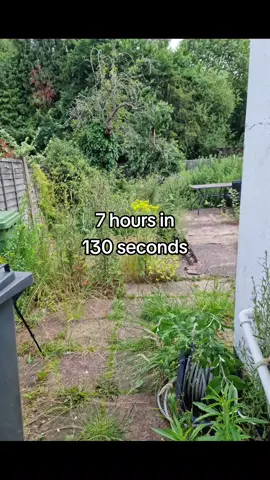 7 hours of back ache 🙃  This garden was completely overgrown, with some weeds measuring 2.1m high! there's still lots of work to be done  #fyp #powerwashing #gardening #satisfying 