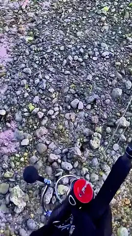 #Fishing  #Outdoors  #foryou