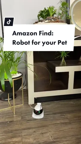Calling all pet parents! 🐾 This robot camera is a game-changer! 🤖✨ With just a few taps on the app, you can talk, watch, and hear your furry friends in real-time! 🐶❤️🐱⁠ ⁠Tap 🔗 in BIO to 🛍️ #petsecurity #petcam #pettoys #pettech #amazonfinds