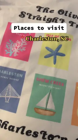 Loved the city! ❤️ #charlestonsc#whattodocharleston#follybeachsc#shemcreekmtpleasantsc#iopsc#sullivansislandsc#downtowncharlestonsc#rainbowrowcharleston#charlestoncitymarket#pineapplefountain#charlestontrip#familytrip2023#summerfun2023 