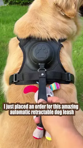 Treat your furry friend to a comfortable and stylish leash 🥰 #dog #dogleash #dogwalk #walkingdog #DogTraining #doglover #doglove #pet #petsupplies #fyp