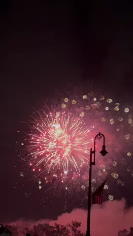 يوم استقلال امريكا#4thofjuly #USA #explore #like #يوم_الاستقلال #اكسبلوووووووور #اكسبلورexplore #امريكا #تيم_امريكا🇺🇸 #ولايات_المتحده #الولايات_المتحدة_الامريكية #عرب_تيك_توك #مشاهير_تيك_توك #عرب_امريكا #اوهايو #توليدو #الشعب_الصيني_ماله_حل😂😂 #السعوديه #الرياض #خليجنا #المانيا_السويد_النمسا_النروج_دينيمارك #العاب_ناريه #fireworks #ohio #toledo #universty #funny #happy #familytime 